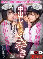 3DSVR-1118 small cover image