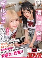 DSVR-1136 small cover image