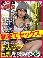 DSVR-1206 small cover image