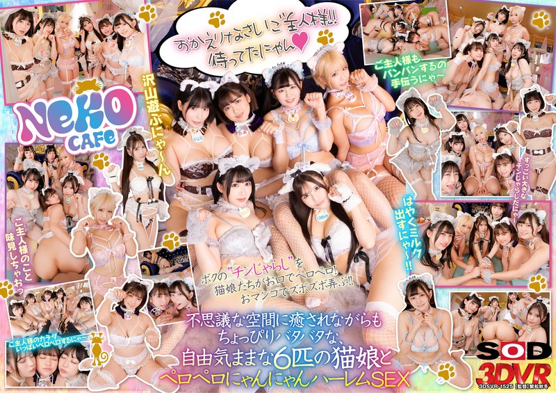 DSVR-1525 cover