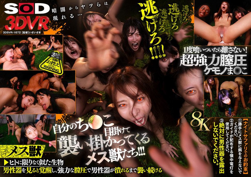 DSVR-1672 cover