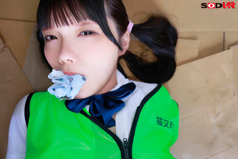 DSVR-1681 thumb image 7