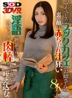 DSVR-1751 small cover image