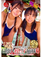TMAVR-234 small cover image
