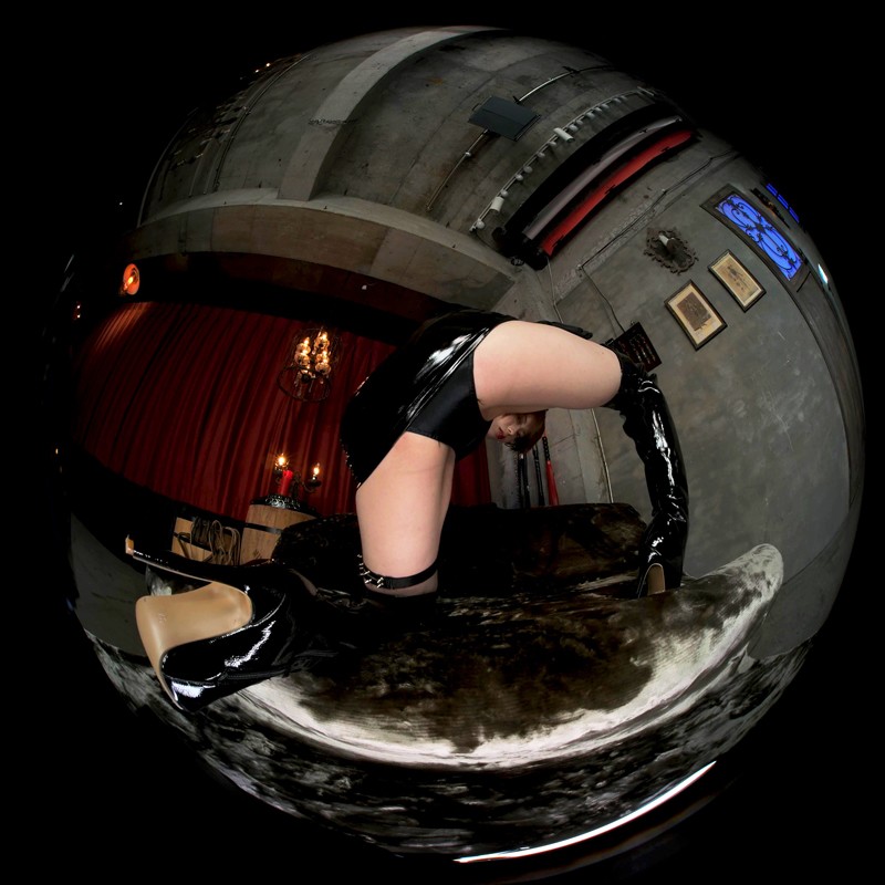 SPVR-2 thumb image 4