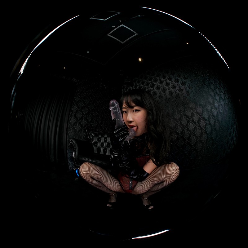 SPVR-9 thumb image 5