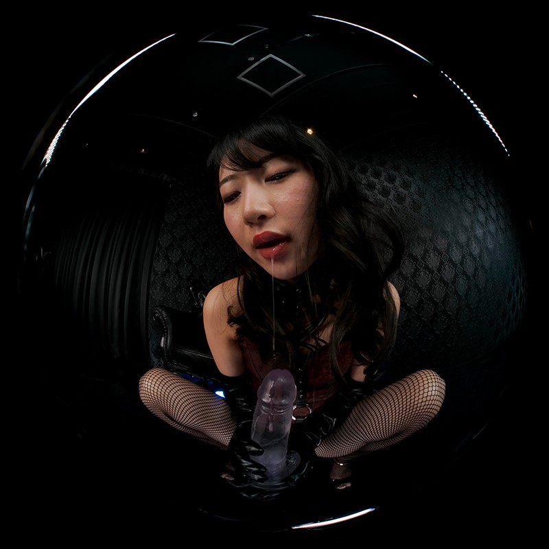 SPVR-9 thumb image 7