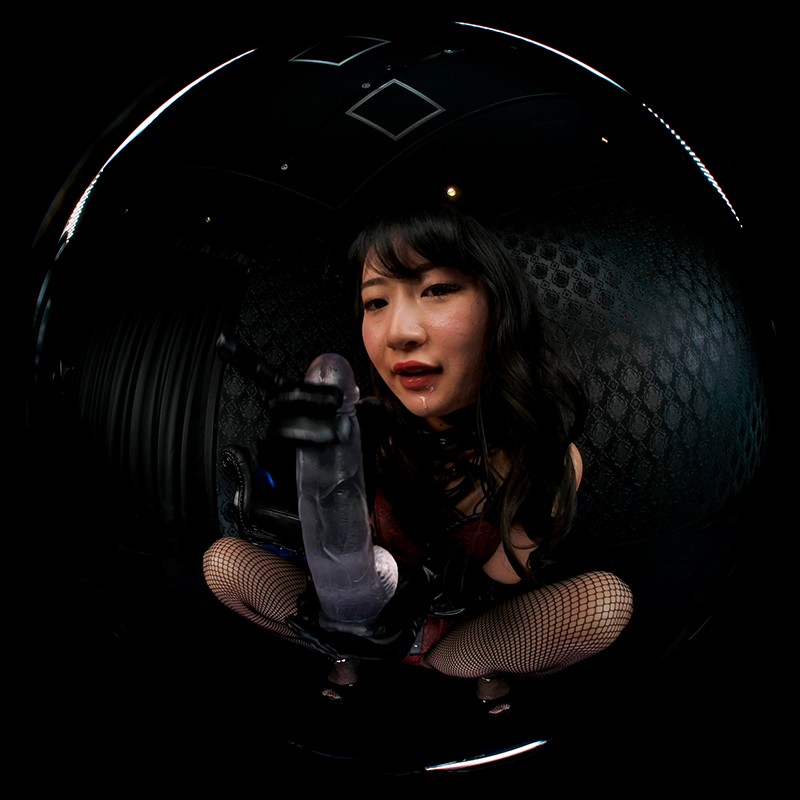 SPVR-9 thumb image 8