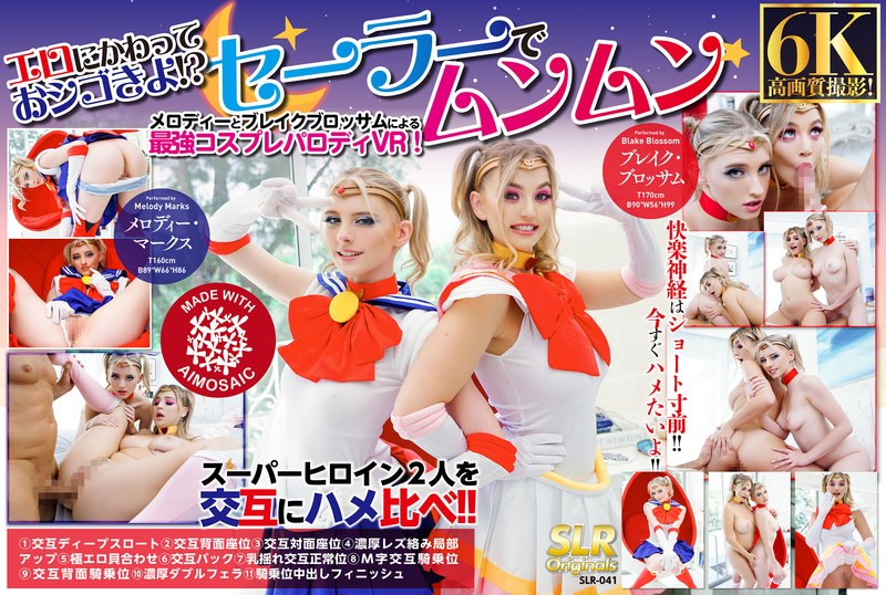 SLR-41 cover
