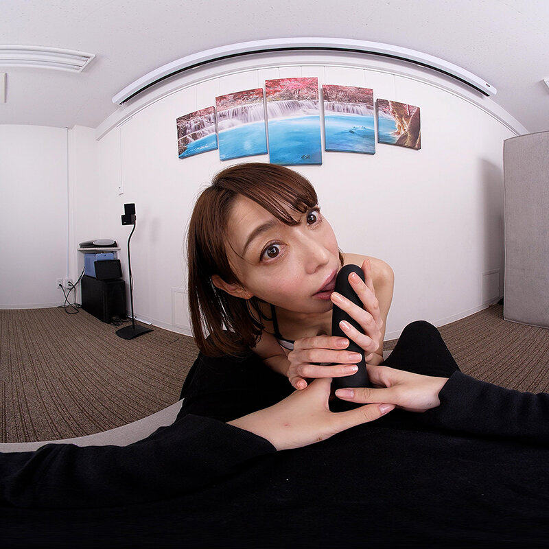 HRGR-1 thumb image 8