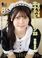 FSVR-32 small cover image