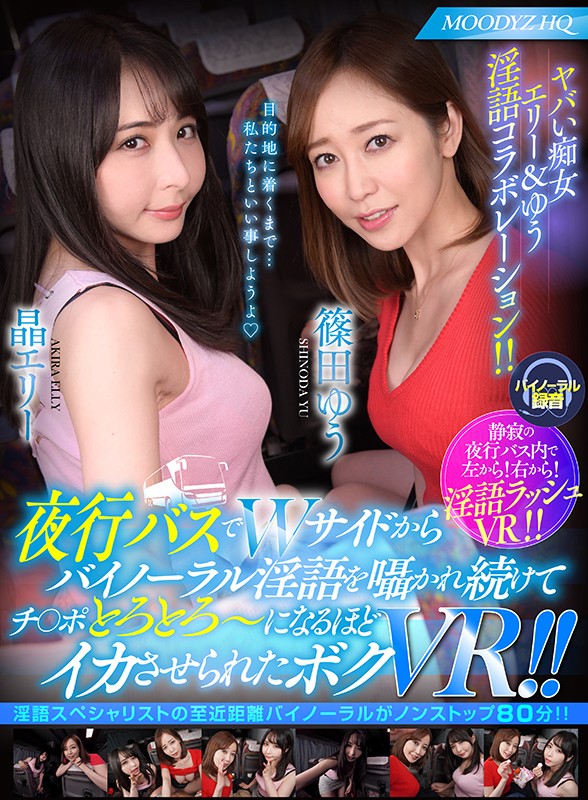 MDVR-85 thumb image 0