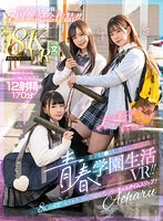 MDVR-245 small cover image