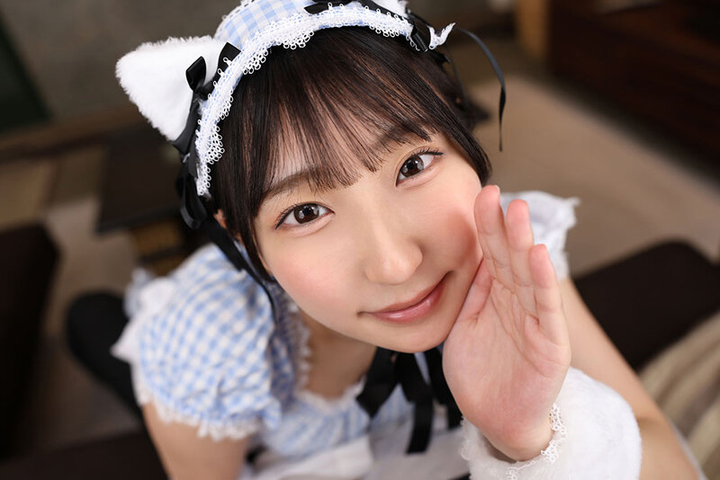 SAVR-1012 thumb image 13